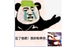 忘了他吧！我炒粉养你。我养你系列表情包