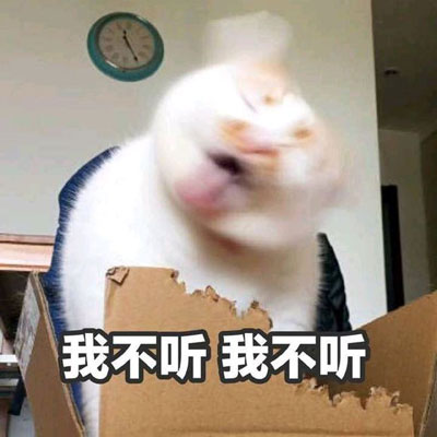 不听不听王八念经，猫猫狂摇头表示不想听