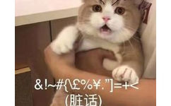 猫猫样子很凶地说脏话骂人表情包