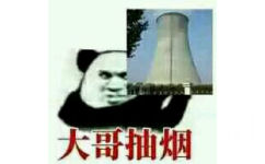 双手端着核电烟囱的熊猫头对大佬说：请大哥抽烟。侍候大佬系列表情包