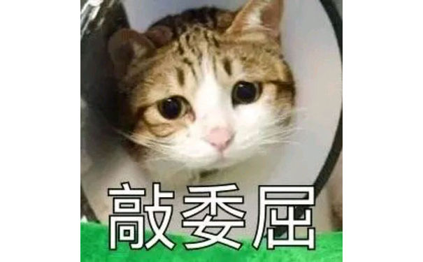 猫猫一脸委屈的表情，敲委屈的猫猫表情包