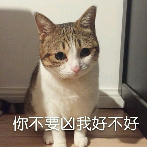 被凶了后的猫猫一脸伤心委屈的表情，可怜巴巴地说：你不要凶我好不好，猫猫可怜巴巴伤心难过表情包