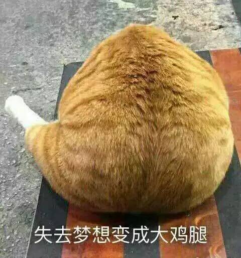 猫猫失去梦想变成了大鸡腿表情包