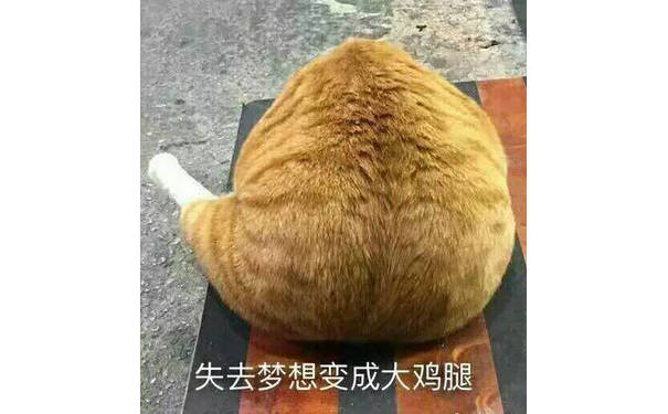 猫猫失去梦想变成了大鸡腿表情包