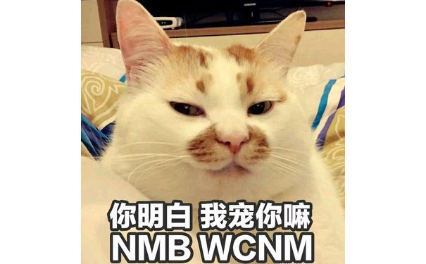 喵星人：你明白的，我宠你嘛（NMB,WCNM）猫猫宠你表情包