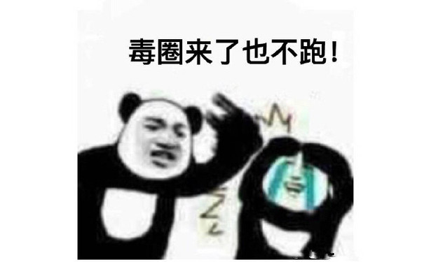 毒圈来了也不跑