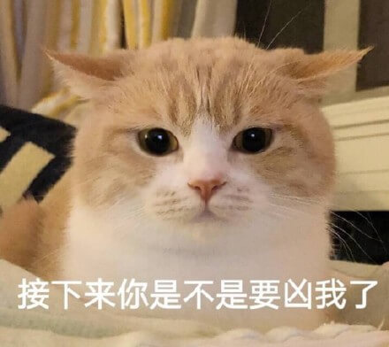 猫猫摆出一副懒得解释的表情，直接问重点：接下来你是不是要凶我了？猫猫问主人是不是打算要凶我表情包