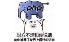 对方（PHP程序员）表示不想和你说话，并用双手举着PHP的logo向你推荐世界上最好的语言，PHP程序员不想说话顺便向别人推荐语言表情包