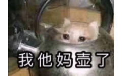 猫猫被吓得躲进水壶只露出个头在外面，行了行了我服了你了，我他妈壶了还不行吗，猫猫躲进水壶说我他妈壶了表情包