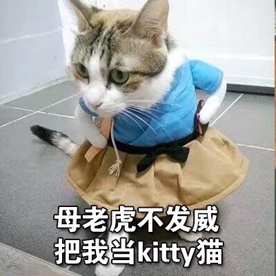 小猫咪生气发飙，母老虎不发威，把我当Kitty猫是吧？猫猫因为被当成Kitty猫而非常生气地说自己是母老虎表情包