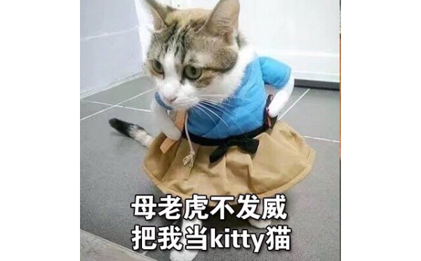 小猫咪生气发飙，母老虎不发威，把我当Kitty猫是吧？猫猫因为被当成Kitty猫而非常生气地说自己是母老虎表情包