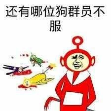 还有哪位狗群员不服