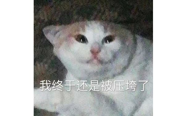 我终于还是被压垮了，猫猫伤心中带着无奈的表情说自己被生活压垮了表情包