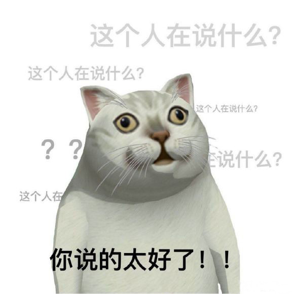 这个人在说什么？Mur猫一脸懵逼，心里完全不知道对方在说什么，但是却假装听懂了并夸对方说的太好了，Mur猫夸对方说的好但却一脸懵逼表情包