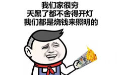 我们家很穷，天黑了都不舍得开灯，我们都是烧钱来照明的