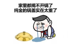 家里都揭不开锅了，纯金的锅盖实在太重了