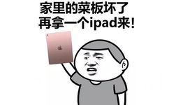 家里的菜板坏了，再拿一个ipad来！