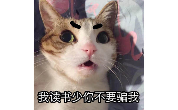 “我读书少你不要骗我！”喵星人猫猫一脸惊愕的表情说自己读书少叫别人不要骗它，喵星人震惊说不要骗我表情包