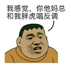 我感觉，你他妈总和我胖虎唱反调