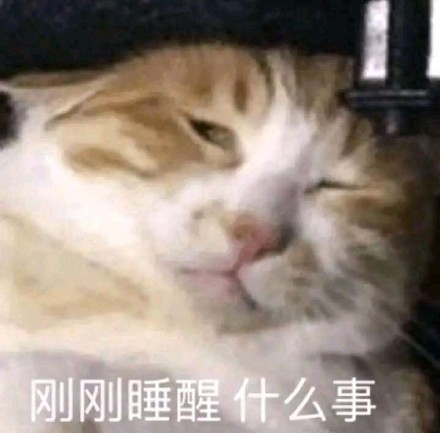 喵星人眯着眼说：“刚刚睡醒，什么事？”刚睡醒的喵星人猫猫问别人什么事表情包