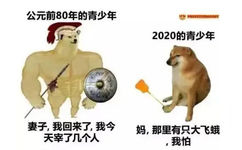 公元前80年的青少年(肌肉柴犬)：妻子，我回来了，我今天宰了几个人！2020年的青少年(小柴犬)：妈，那里有只大飞蛾，我怕