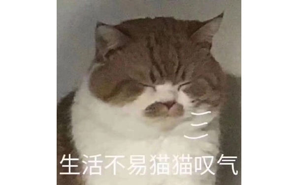 生活不易，猫猫叹气，因为生活不易而叹气的猫猫表情