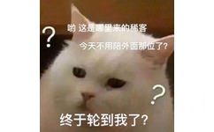 生气了的猫猫挤兑男朋友，哟，这是哪里来的稀客？今天不用陪外面那位了？终于轮到我了？跟男朋友生气发问不用陪外面那位终于轮到我了猫猫图表情包