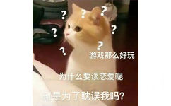 猫猫一脸问号不解，游戏那么好玩，为什么要谈恋爱呢？就是为了耽误我吗？猫猫质问爱玩游戏的那位是不是故意耽误他表情图