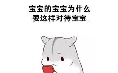 小花鼠被自己的宝宝伤心后说宝宝的宝宝为什么要这样对待宝宝表情图