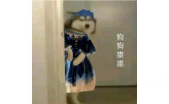 穿蓝色裙子戴蓝色蝴蝶结的狗狗祟祟图