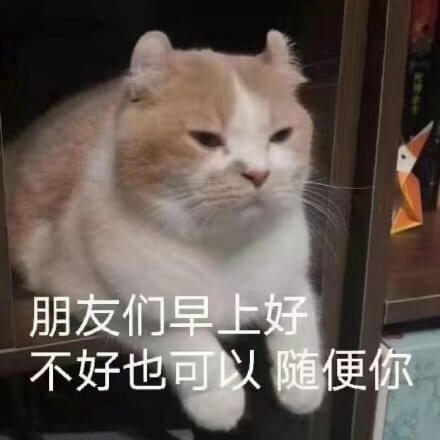 猫猫早上和朋友们打招呼，朋友们早上好，不好也可以，随便你！猫猫打招呼早上好不好随便你表情图