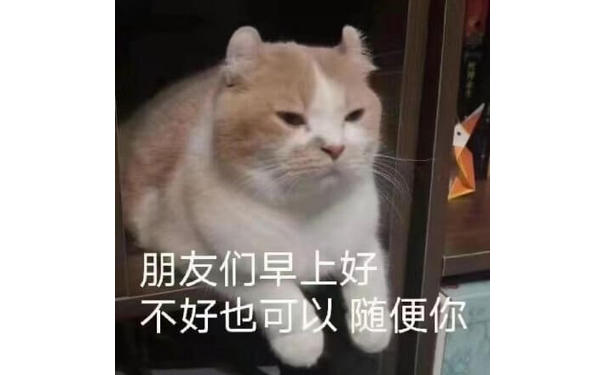 猫猫早上和朋友们打招呼，朋友们早上好，不好也可以，随便你！猫猫打招呼早上好不好随便你表情图