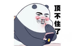 这谁顶得住啊，熊猫头拿手机上网看得流鼻血顶不住了表情图