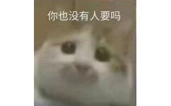 你也没有人要吗？伤心的猫猫见到同样被抛弃的同伴说你也没有人要吗？被抛弃的猫猫问同伴你也没人要吗表情图