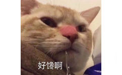 好馋啊，好可口好想吃！猫猫馋得流口水可口想吃好馋啊表情图