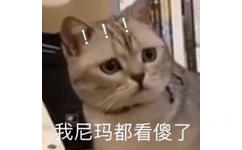 我尼玛都看傻了！猫猫震惊看傻我尼玛都看傻了表情图