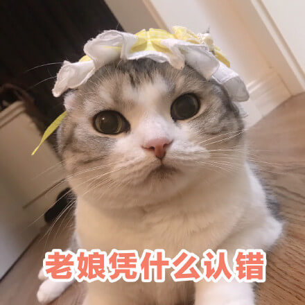 猫猫被要求认错后不服气，老娘凭什么认错！猫猫认错不服气凭什么认错表情图