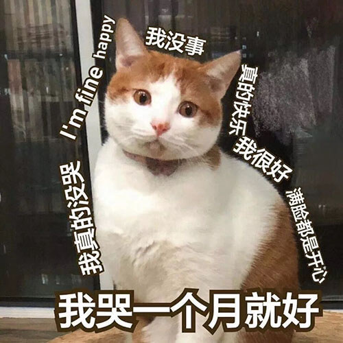 我真的没哭，I'm fine happy，我没事，真的快乐，我很好，满脸都是开心，我哭一个月就好，猫猫明明很伤心却假装没事很快乐哭一个月就好表情图