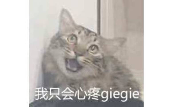 猫猫心疼giegie表情，我只会心疼giegie