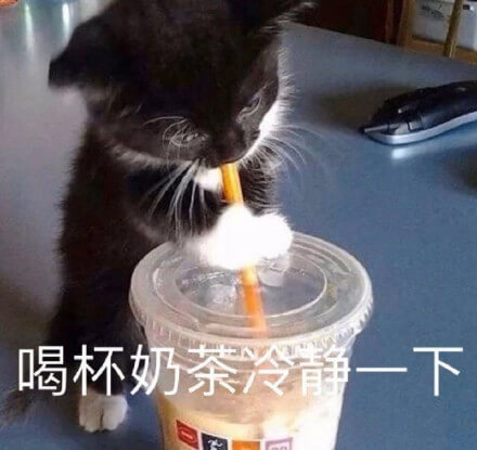 让我先喝杯奶茶冷静一下，猫猫喝奶茶冷静表情