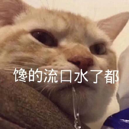 猫猫馋的流口水了，猫猫好馋流口水表情