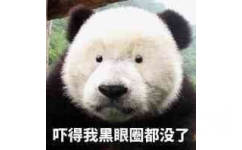 吓得我黑眼圈都没了，熊猫都被你吓得没了黑眼圈表情
