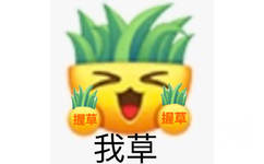 一棵草手里握草说我草图片