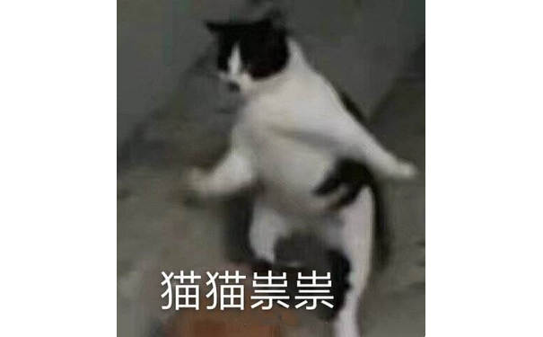 猫猫祟祟花猫版，一只花猫鬼鬼祟祟表情