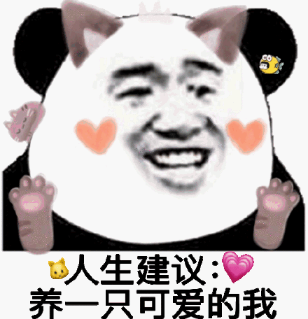 人生建议：养一只可爱的我。熊猫头给人提人生建议装可爱求包养表情