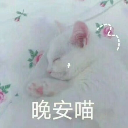 晚安喵，晚安了，猫猫睡觉说晚安表情