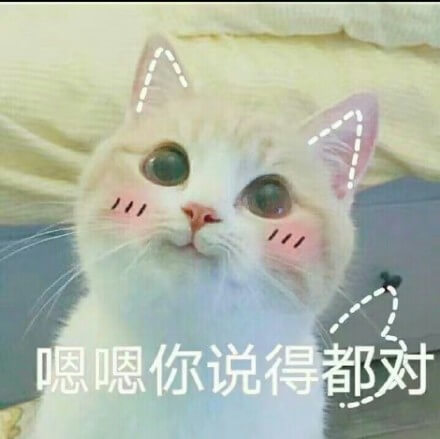 嗯嗯，你说得都对，猫猫萌萌哒嗯嗯说得对表情