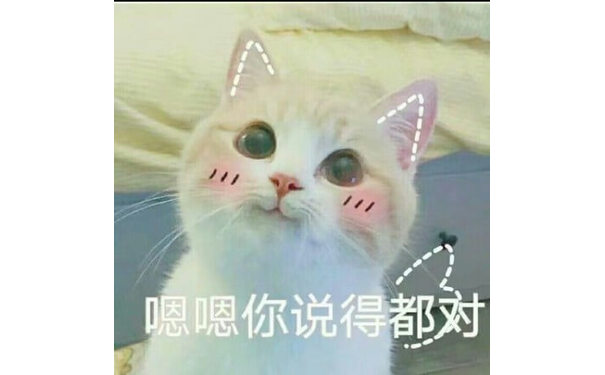 嗯嗯，你说得都对，猫猫萌萌哒嗯嗯说得对表情