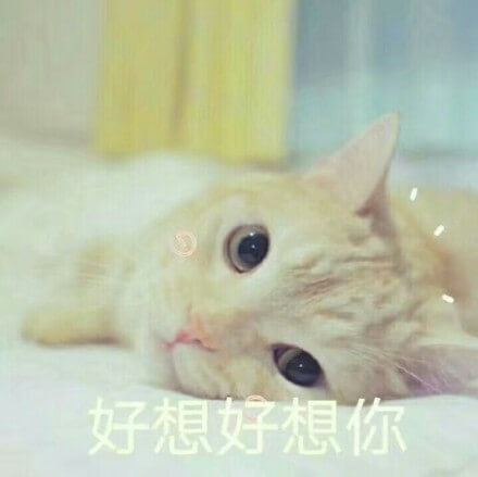 好想好想你，我超级级想你的，猫猫想你了表情