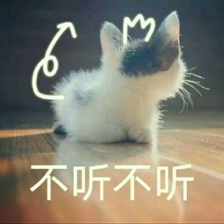 不听不听，我就不听，猫猫撒娇撇过脸到一边说我不听表情